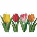 Tulip Cutouts